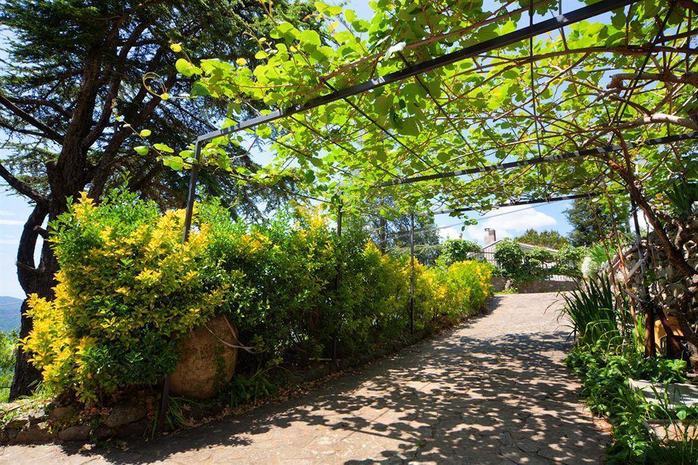 Oasi Verde Castiglione Chiavarese Εξωτερικό φωτογραφία