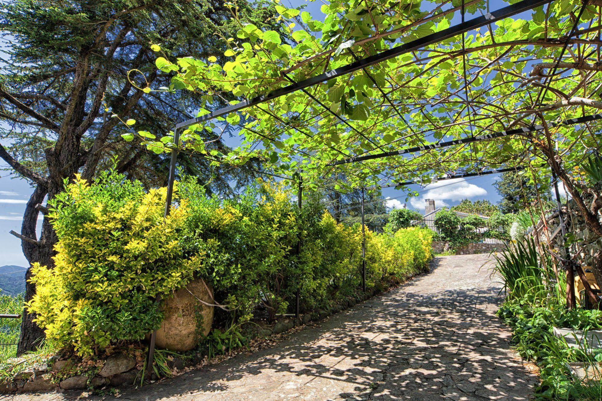 Oasi Verde Castiglione Chiavarese Εξωτερικό φωτογραφία